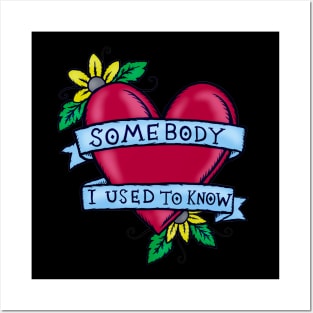 Somebody That I Used to Know – Illustrated Lyrics Posters and Art